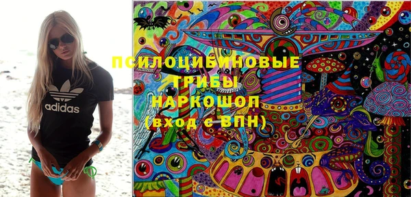 дживик Абинск