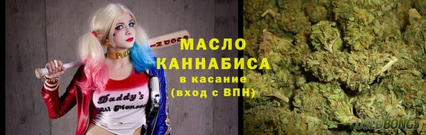 дживик Абинск