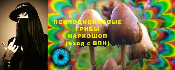 дживик Абинск