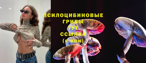 молекула духа Абдулино
