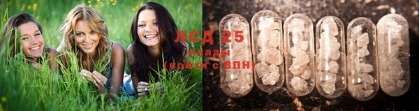 дживик Абинск