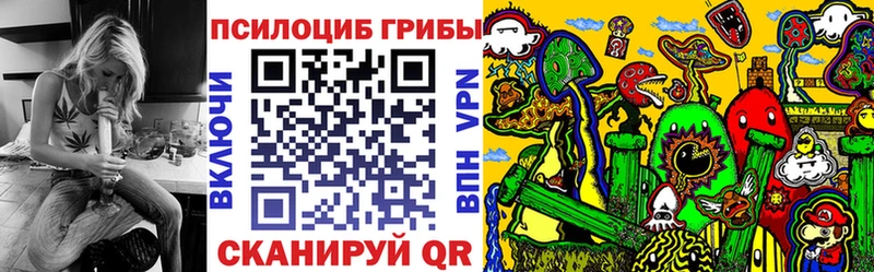 где купить   Новотитаровская  Псилоцибиновые грибы ЛСД 