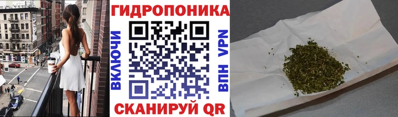 omg ссылка Новотитаровская Конопля ГИДРОПОН дарнет шоп